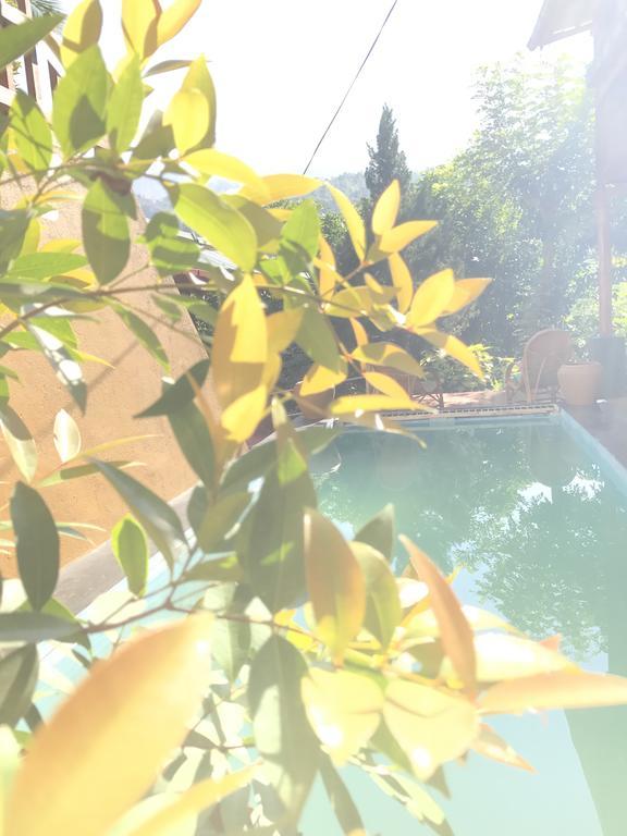 Plantation Retreat Hotel Pathadumbara ภายนอก รูปภาพ