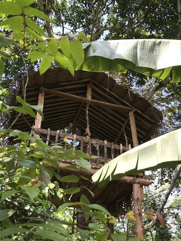 Plantation Retreat Hotel Pathadumbara ภายนอก รูปภาพ
